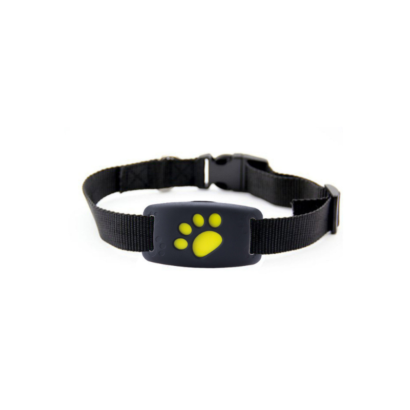 Traceur GPS pour animaux de compagnie